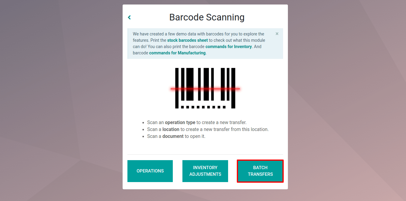 View of the CoquiAPPs Barcode app dashboard