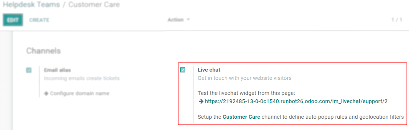 View of the settings page of a helpdesk team emphasizing the live chat features and links in CoquiAPPs Helpdesk