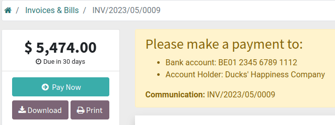 Payment instructions on the customer portal