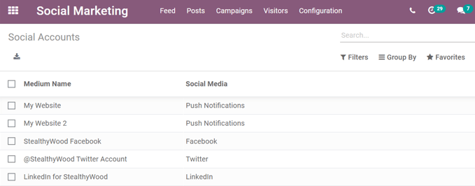 View of the social accounts page in the CoquiAPPs Social Marketing application.